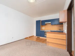 Prodej bytu 2+kk, České Budějovice - České Budějovice 2, K. Štěcha, 56 m2