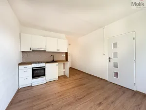 Prodej bytu 1+1, Bílina - Teplické Předměstí, Sídliště Za Chlumem, 35 m2