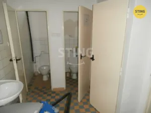 Prodej výrobních prostor, Ostrava, Radvanická, 555 m2
