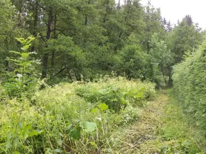 Dražba pozemku pro bydlení, Teplice nad Metují, 18922 m2