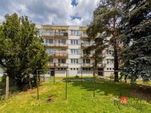 Prodej bytu 2+1, České Budějovice - České Budějovice 3, Lipenská, 60 m2