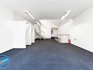 Prodej obchodního prostoru, Kroměříž, Kovářská, 196 m2