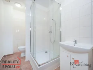 Pronájem bytu 2+kk, Mlékojedy, 51 m2
