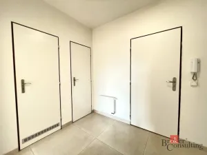 Prodej bytu 2+kk, Králův Dvůr, Popelky Biliánové, 51 m2