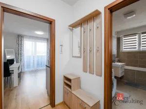 Pronájem bytu 1+kk, Heřmanova Huť - Vlkýš, U Pondu, 40 m2