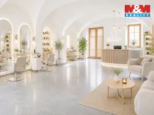 Pronájem obchodního prostoru, České Budějovice - České Budějovice 1, Hradební, 142 m2