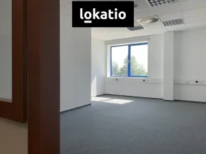 Pronájem skladu, Praha - Zličín, Na Radosti, 223 m2