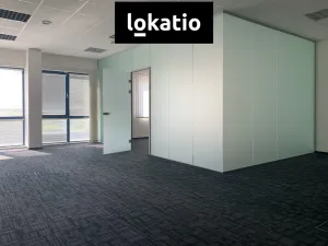 Pronájem skladu, Praha - Zličín, Na Radosti, 223 m2