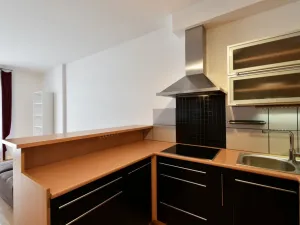 Pronájem bytu 2+kk, Praha - Holešovice, V háji, 55 m2