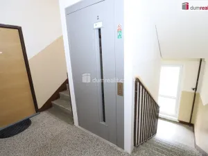 Pronájem bytu 1+1, Cheb, Dvořákova, 36 m2