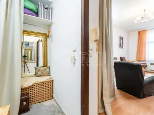 Prodej bytu 1+kk, Praha - Nusle, Sezimova, 22 m2