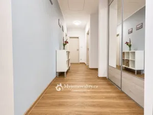 Prodej bytu 4+kk, Znojmo, Vídeňská třída, 169 m2