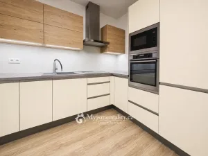 Prodej bytu 4+kk, Znojmo, Vídeňská třída, 169 m2
