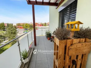 Prodej bytu 4+kk, Znojmo, Vídeňská třída, 169 m2