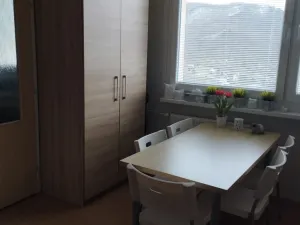 Pronájem bytu 1+1, Ústí nad Labem - Mojžíř, Peškova, 36 m2