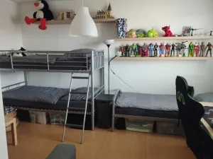 Pronájem bytu 1+1, Ústí nad Labem - Mojžíř, Peškova, 36 m2