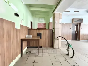 Pronájem obchodního prostoru, České Budějovice - České Budějovice 3, Lipenská, 292 m2