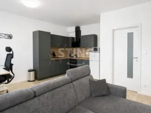 Pronájem bytu 2+kk, Ostrava, Hasičská, 56 m2