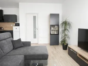Pronájem bytu 2+kk, Ostrava, Hasičská, 56 m2