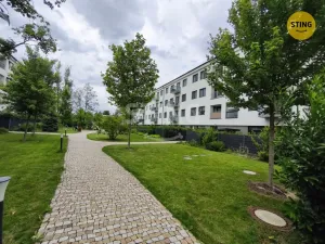 Pronájem bytu 2+kk, Ostrava, Hasičská, 56 m2