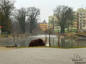 Pronájem bytu 1+1, Pohořelice, Lidická, 21 m2