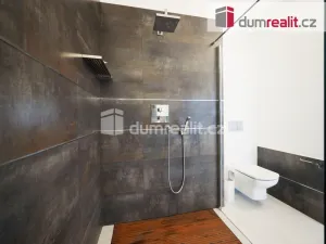 Prodej bytu 3+kk, Mladá Boleslav, Boženy Němcové, 160 m2
