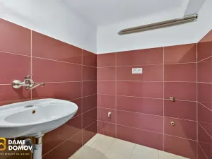 Prodej rodinného domu, Hodonín, Pančava, 169 m2