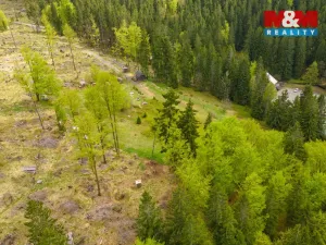 Prodej louky, Harrachov, 8167 m2