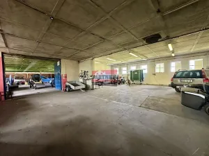 Prodej skladu, Netolice, 30000 m2
