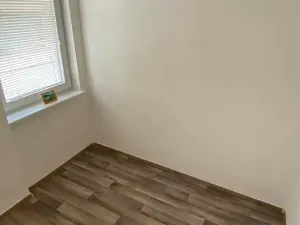 Pronájem bytu 1+1, Brno, Palackého třída, 50 m2