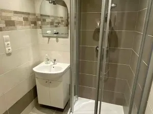 Pronájem bytu 1+1, Brno, Palackého třída, 50 m2