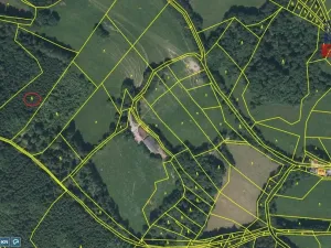 Prodej lesa, Velhartice - Nemilkov, 10112 m2