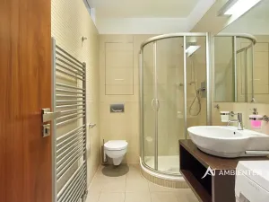 Pronájem bytu 1+kk, Brno, Kopečná, 40 m2