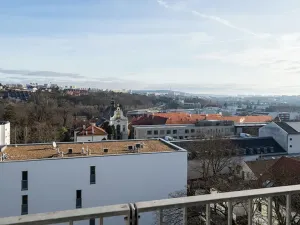 Pronájem bytu 2+kk, Brno, Palackého třída, 56 m2