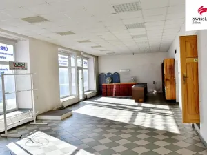 Prodej komerční nemovitosti, Kolín, Havířská, 180 m2