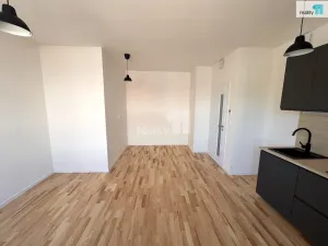 Pronájem bytu 1+kk, Dobřichovice, Randova, 34 m2