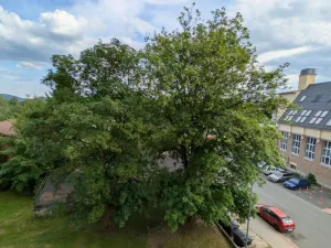Prodej bytu 1+1, Nový Bor, Boženy Němcové, 36 m2