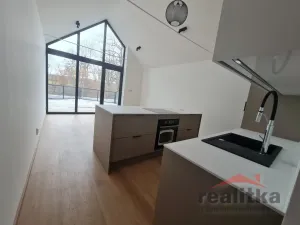 Pronájem bytu 2+kk, Opava, Na Prachovníku, 60 m2