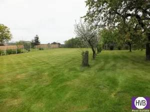 Prodej rodinného domu, Zalužany, Zalužany, 422 m2