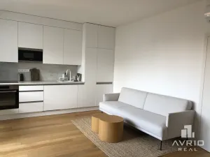 Pronájem bytu 1+kk, Brno, Kleštínek, 40 m2