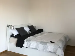 Pronájem bytu 1+kk, Brno, Kleštínek, 40 m2