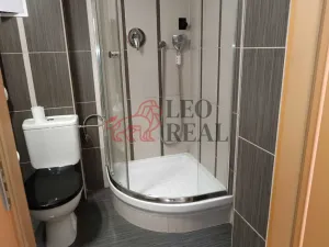 Pronájem bytu 1+kk, Děčín - Děčín IV-Podmokly, Bezručova, 19 m2
