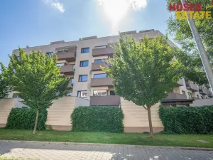 Prodej bytu 2+kk, Brno, Kigginsova, 60 m2