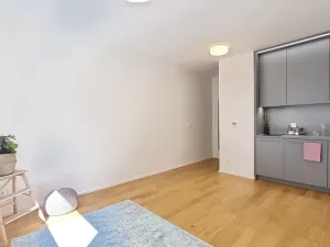 Pronájem bytu 1+kk, Brno, Mlýnská, 24 m2