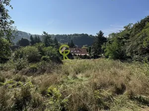 Prodej pozemku pro bydlení, Husinec, Husinecká, 3752 m2