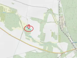 Prodej lesa, Moravský Krumlov, 2648 m2