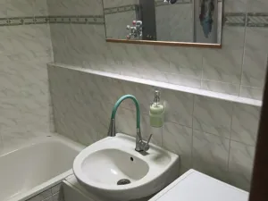 Pronájem bytu 1+1, Olomouc - Slavonín, Topolová, 48 m2
