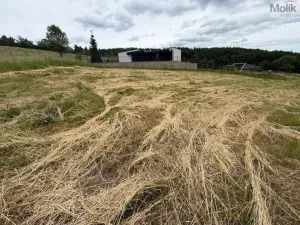 Prodej pozemku pro bydlení, Málkov - Zelená, 1009 m2
