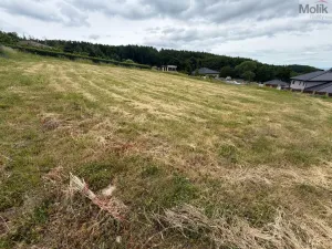 Prodej pozemku pro bydlení, Málkov - Zelená, 1010 m2