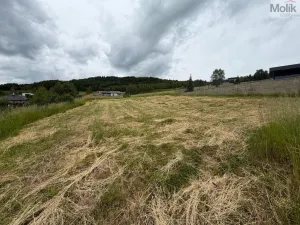 Prodej pozemku pro bydlení, Málkov - Zelená, 1024 m2